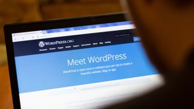 wordpressde-basarili-seo